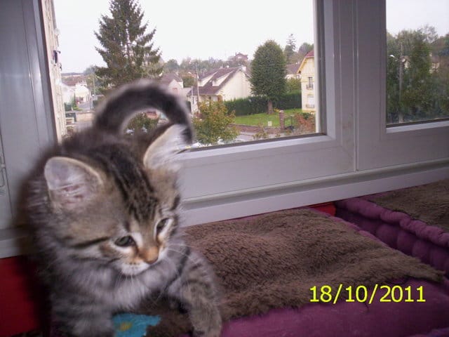 stessy ça y est elle sait grimper