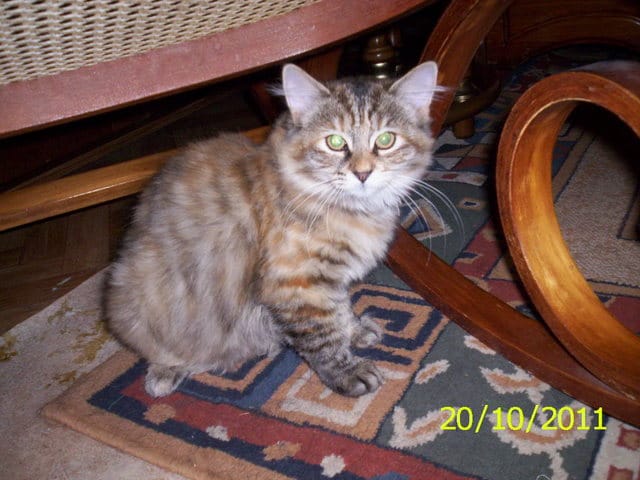 aujourdhui solene a 4 mois