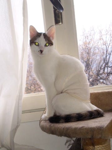 Me voila de retour après ma petite opération 