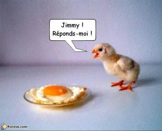 Pour rire un petit peu...