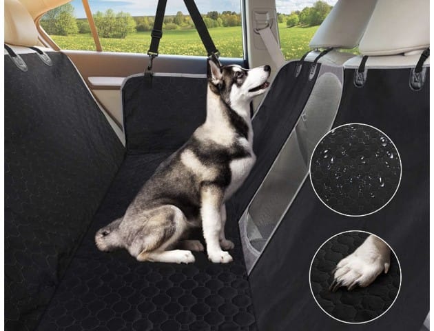 Voyager en sécurité avec son chien