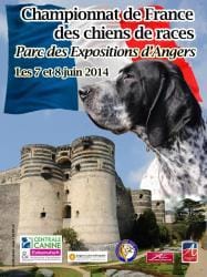 Championnat de France des chiens de race