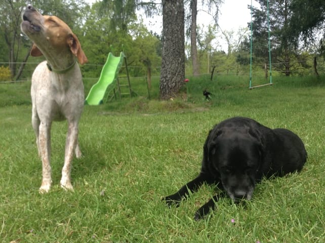 Je vous partage mes photos