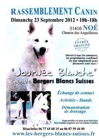 rassemblement de berger blanc suisse