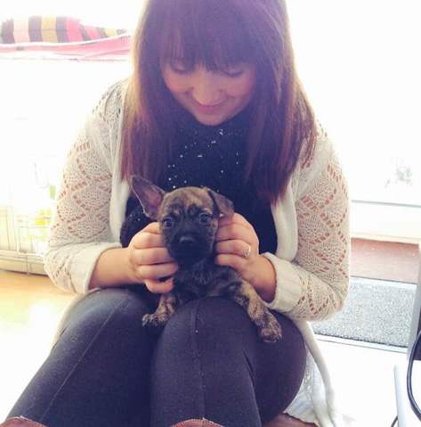 Loulou plein d'energie