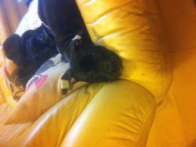 Hey c'est Link de retour :)