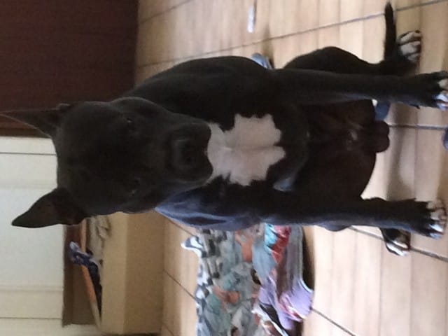 Bonjour tout le monde .