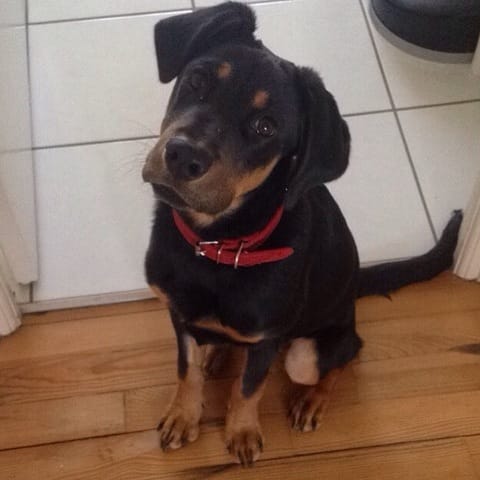 Besoins d'avis et de conseils