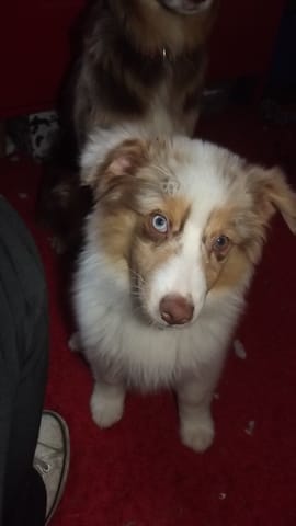 Photos et évolution de ma miss !