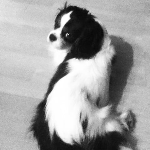 La vie de junior ♥