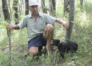 Une chienne abandonnée et attachée en pleine forêt