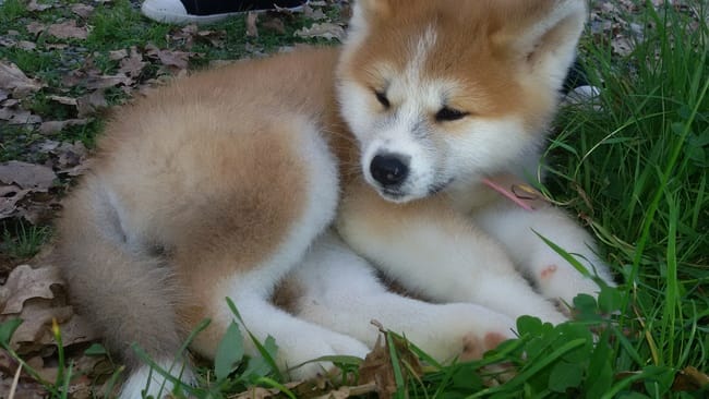 l'aventure de Jun.. jour aprés jour