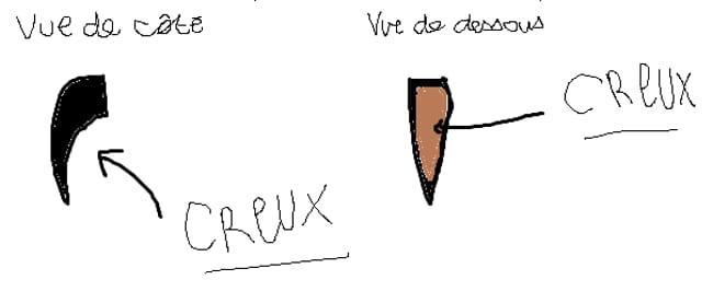 Griffes creusées ?