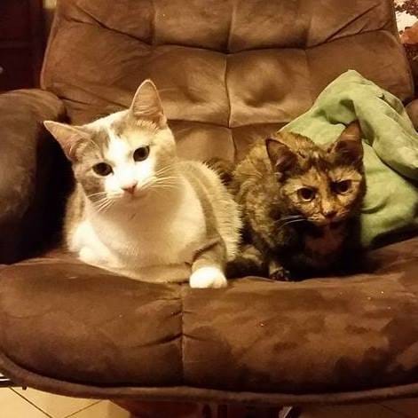 pouvez vous me renseignez ?