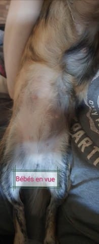 Nouvelle de inaya suite