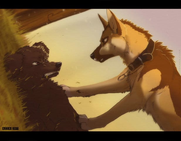 The WarDog (la guerre des chiens)