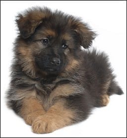 Petits conseils SVP?! ^^