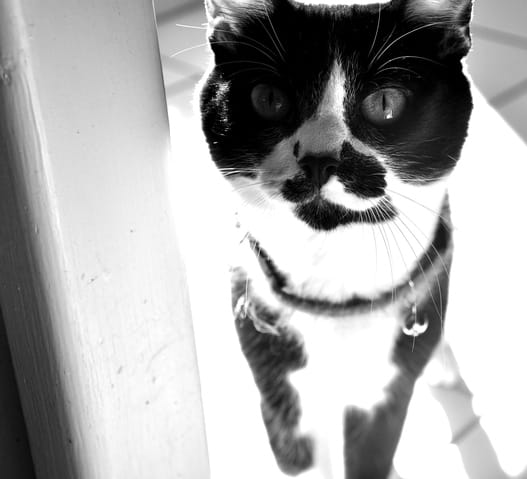 Changement de comportement que faire ?