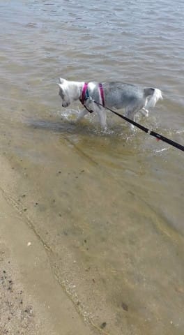 Grande pour son âge ?