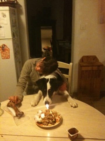 Faire un CAP toilettage puis devenir éducatrice ?