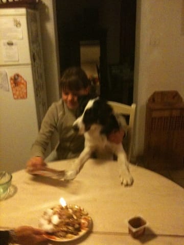 Un don par wamiz c'est possible?!