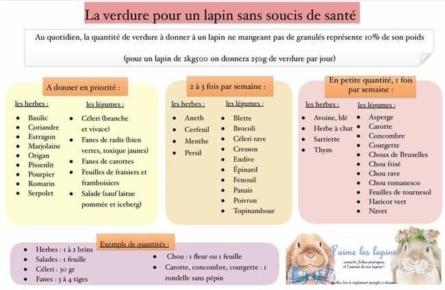 Nourrir son lapin au 100% naturel