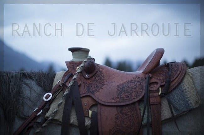 Equipe Equideow Recrute