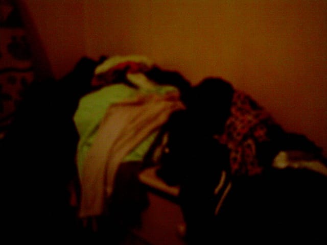 Les endroits ou mon chat Athéna dort