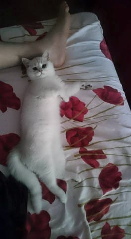 Nouveau membre de notre famille 