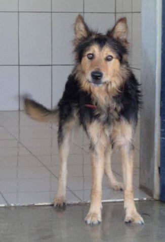 Cherche covoiturage en urgence !