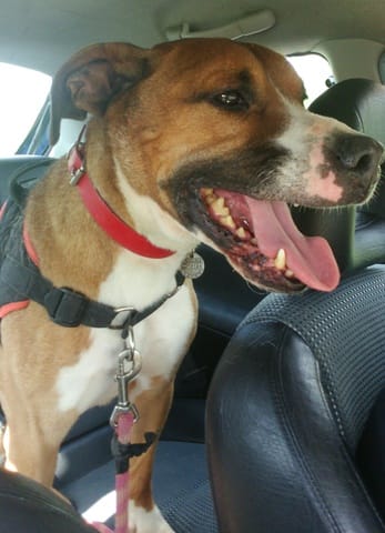 Mon Lunes pas sociable mâles...