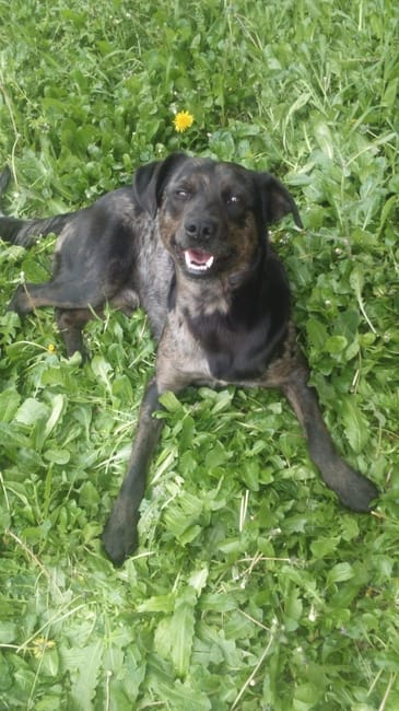 Salut tout le monde !