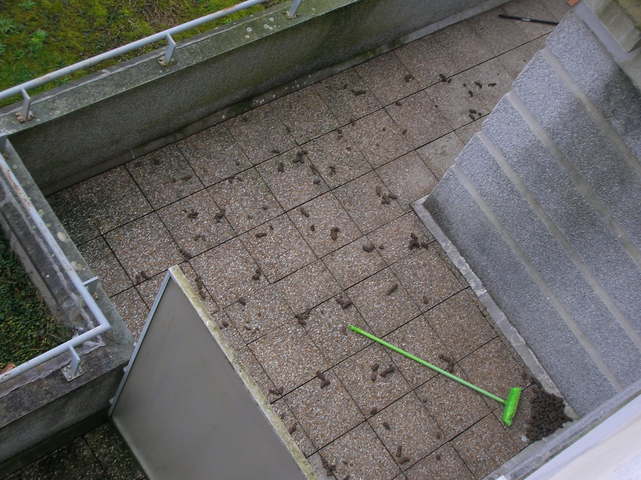 de la maltraitance ? 