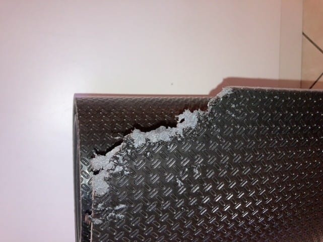 C’est un chat ou un rat ?