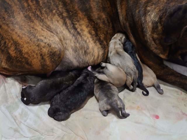 Ça mets de bonne humeur le matin