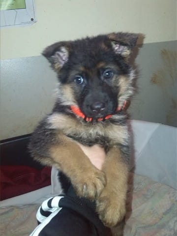 la petite princesse jaye !!!!