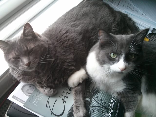  ♥ Merlin et Arthur ♥ 