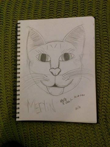 Concours dessinez votre animal !