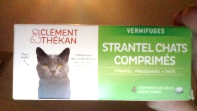 Apparition de la 3eme paupière de mon chat que faut-il faire ?