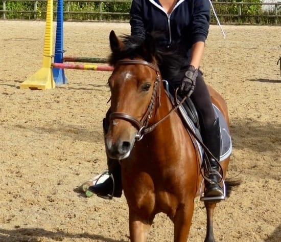 Fan de chevaux !