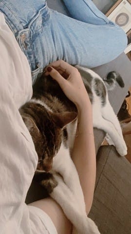 Mon chat va-t-il mal le vivre et m’oublier ?