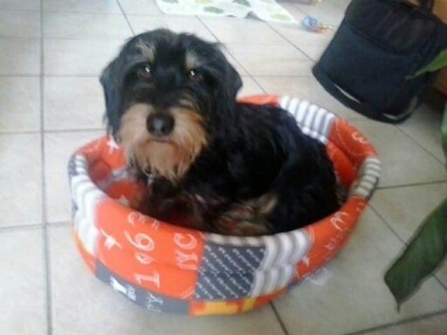 Comment ajouter des photos ?