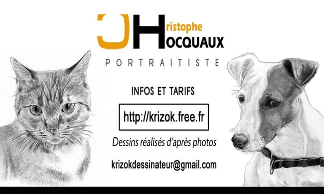 Je dessine vos animaux de compagnie