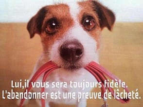 Non à l'abandon !