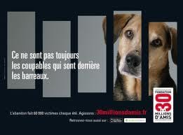 choses sur la cruauté envers les animaux