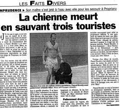 histoires extraordinaires de chiens