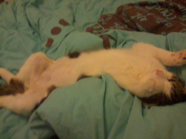 DOminant..? Comment agir?