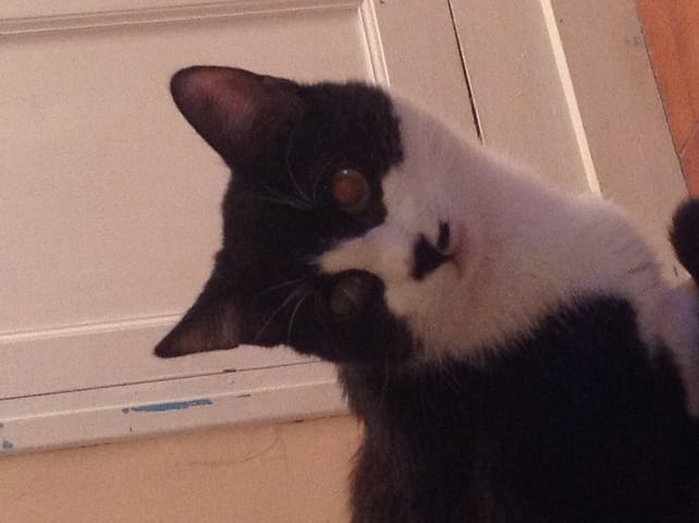 Syndrome de Claude Bernard Horner