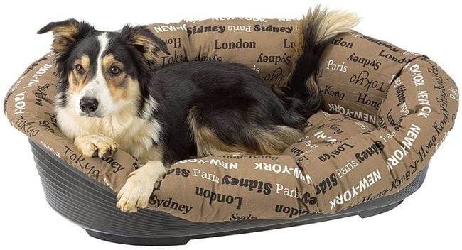 Panier Chiot