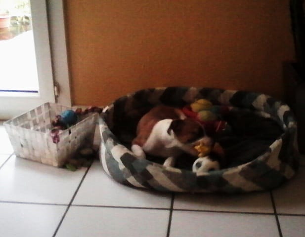 pas content après un "NON "